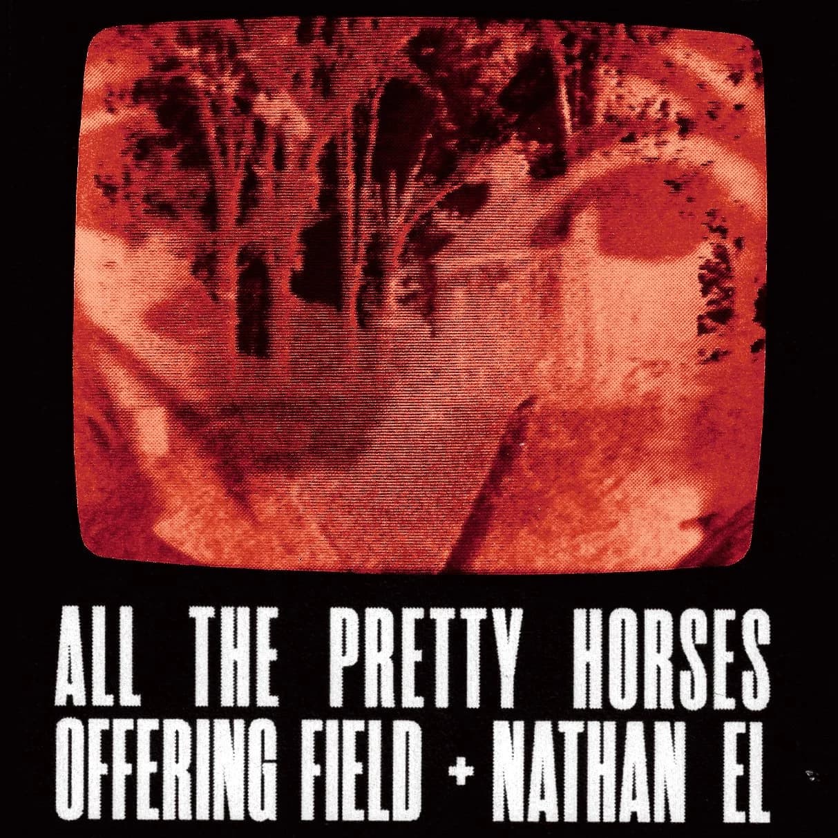 Nathan El, All the Pretty Horses, Offering Field