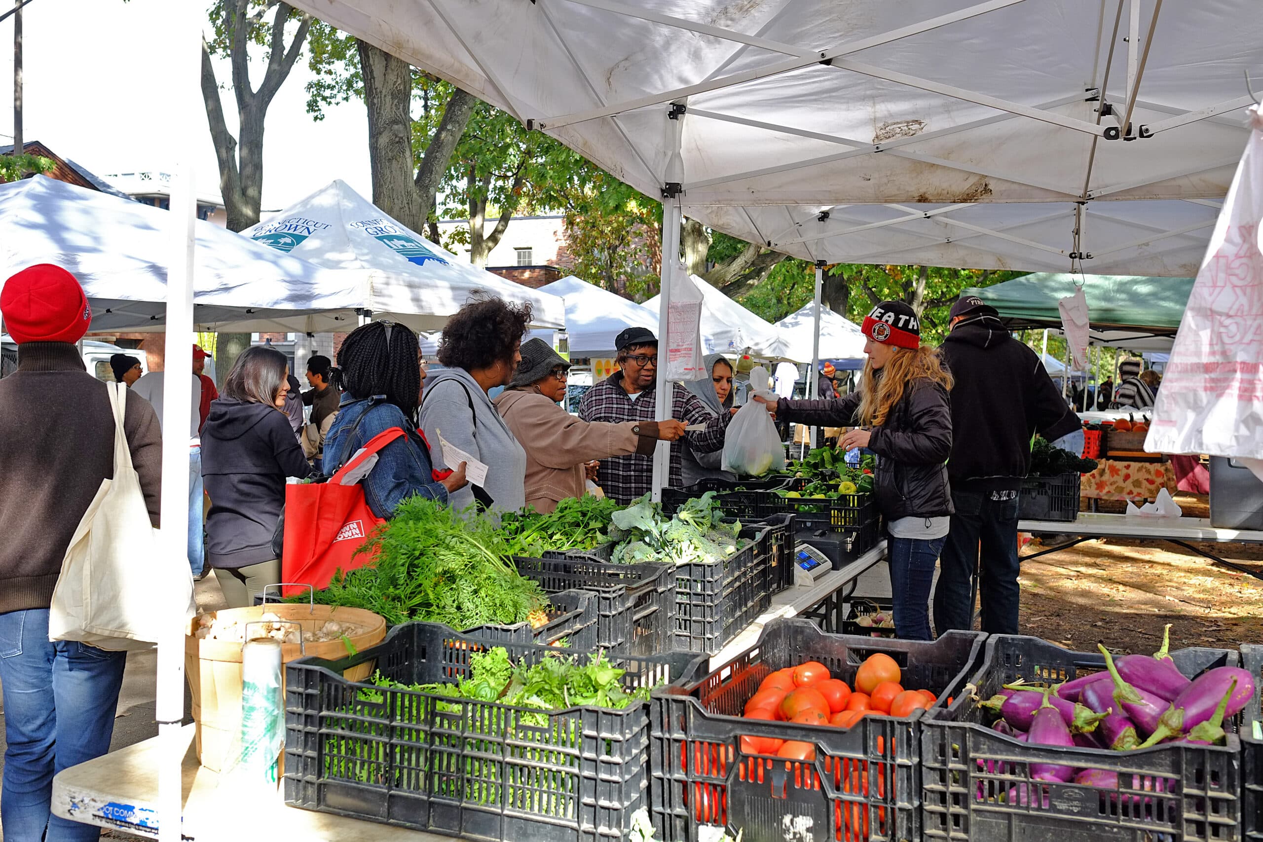 CitySeed’s Wooster Square Farmers Market