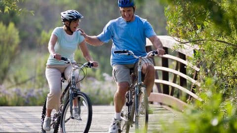 New Haven Greenways 2030: Mill River Greenway